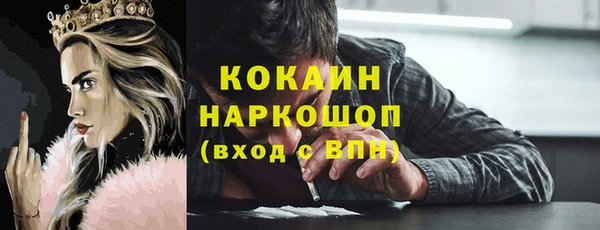 индика Осташков