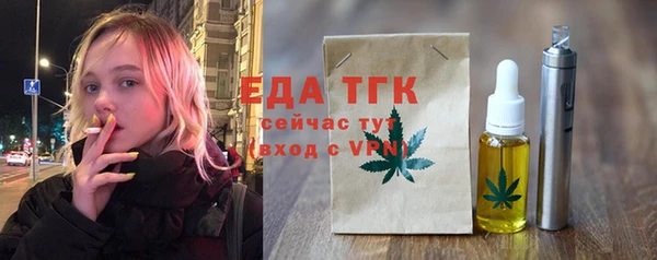 индика Осташков
