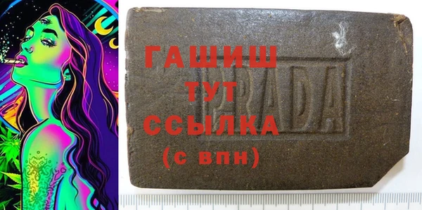 индика Осташков