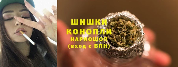 мдпв Осинники