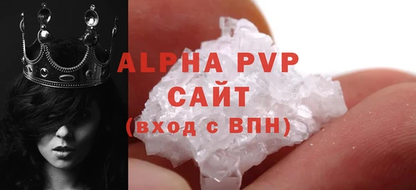 индика Осташков
