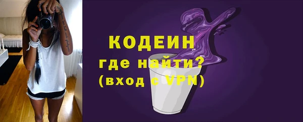 индика Осташков