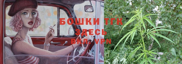 индика Осташков