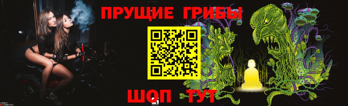 Галлюциногенные грибы Magic Shrooms  Вход с VPN  Канск 
