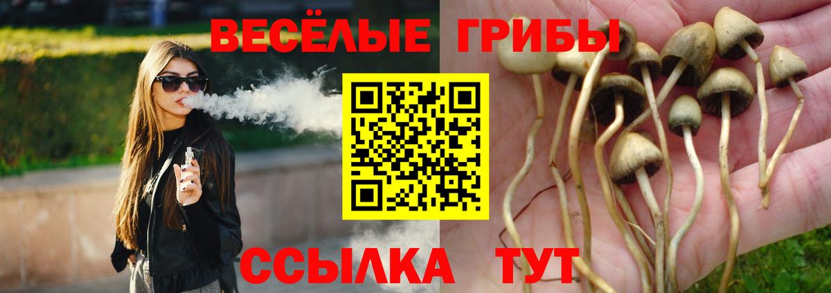 Галлюциногенные грибы Cubensis  даркнет сайт  Канск 